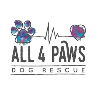 All 4 Paws Dog Rescue