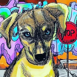 Street Savvy Dog Rescue