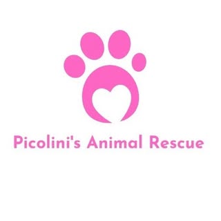 Picolinis Animal Rescue