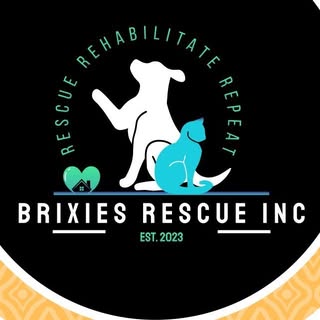 Brixies Rescue Inc