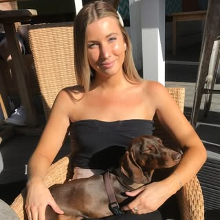 Winston - Miniature Dachshund