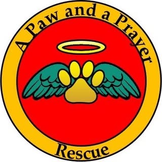 A Paw And A Prayer Dog Rescue