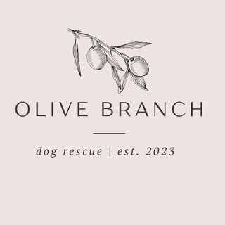Olive Branch Dog Rescue 🐾