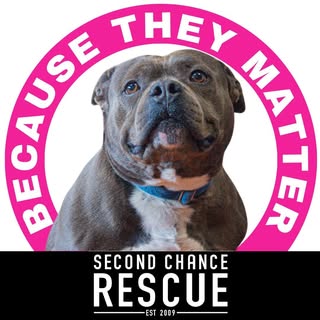 NYCSCR Rescue Center