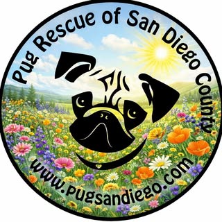 Pug Rescue Of San Diego