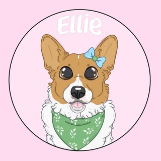 E L L I E the C O R G I 🐾