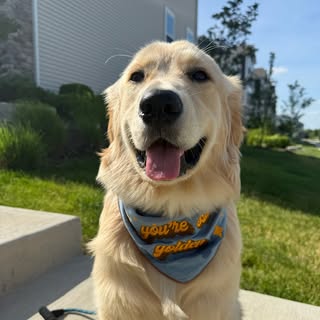 Enzo 🏎️🐾