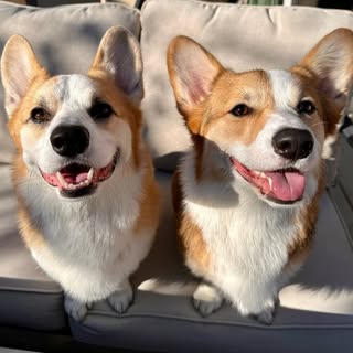 Kaido & Maru
