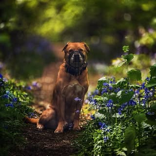 𝕄𝕒𝕣𝕝𝕖𝕪 - Mutt