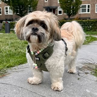 Peppie