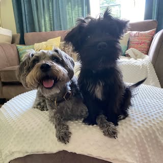 Harper + Murphy ♥️