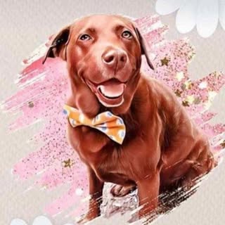 Daisy The Scottish Labrador 🏴󠁧󠁢󠁳󠁣󠁴󠁿