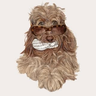 Ralfthemerlecockapoo