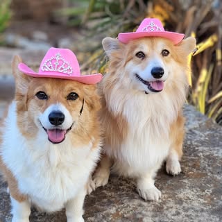 C.C. and Daisy