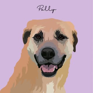 Polly