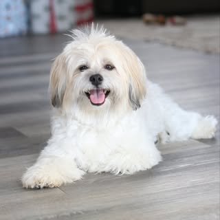 TOTO