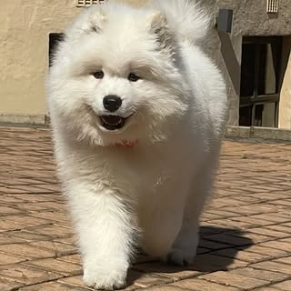 Gio ☁️