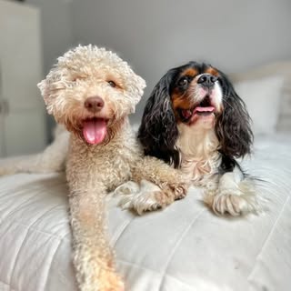 Ralph and Kinder