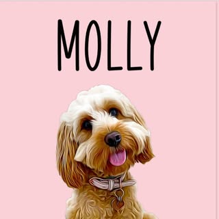 Molly 🐶 Nicola 👩🏼