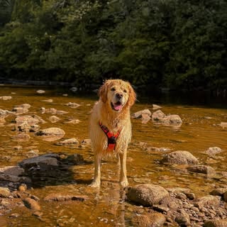 Milo