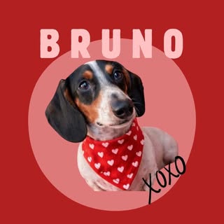 B R U N O