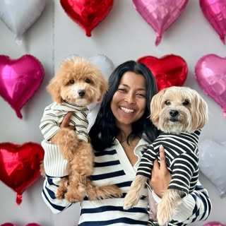 Sharon + Teddy & Bear | Content Creator | Dog Mom Lifestyle