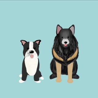 Xero And Frankie