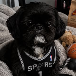 Cooper The Shih Tzu & Family