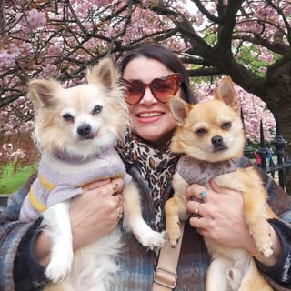 ✨️ Gimli 🐶 Jack 🐶 Rose 🐱 ✨️