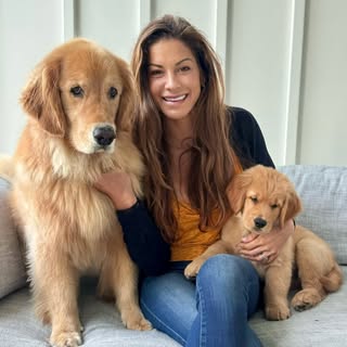 Nova & Hudson | Golden Retrievers