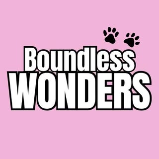 Boundless Wonders - Pet Bandanas and Cat Toys