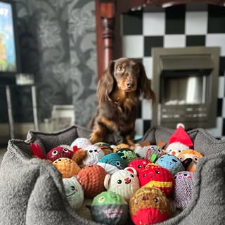 Rolo & Vicky