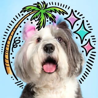 Marley the Bumbly Bobtail