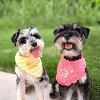 Ellie & Millie