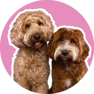 Gepke & Filou