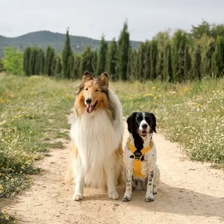 Tina y Dallas