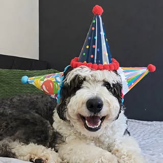 Jared The Dood