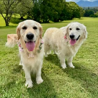 Tully & Isla