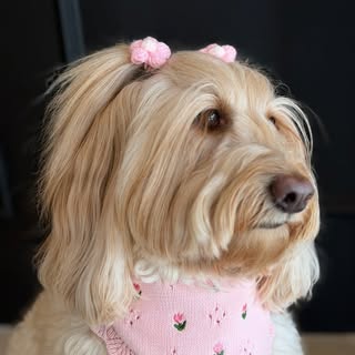 Ellie Golden