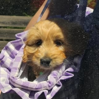 Winnie
