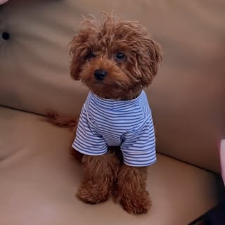 George