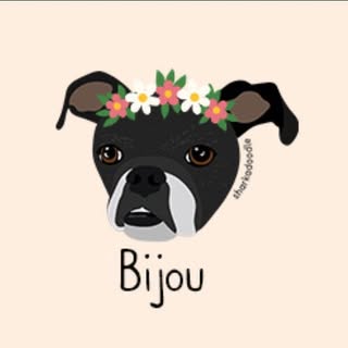 Bijou The Pugzu