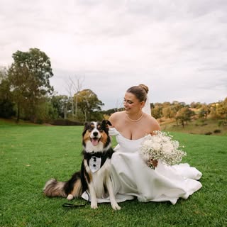 Sarah & Josh | pet content creator & UGC 🐶
