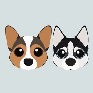 Dashandmae_thecorgis