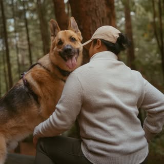 Niki & Bucky- Dog friendly adventures in Victoria, Australia 🇦🇺