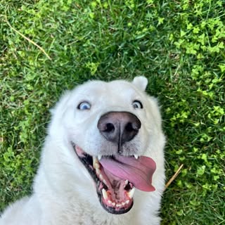 Kilo