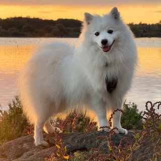 Conan The Barkarian