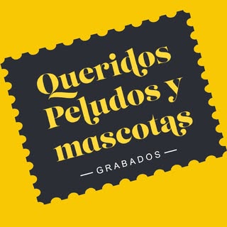 @queridospeludosymascotas