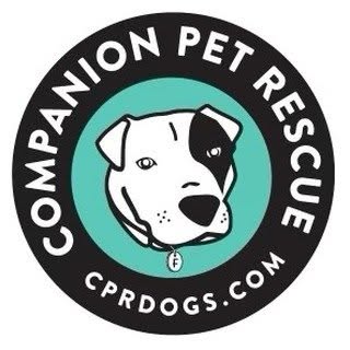 CPR Dogs