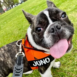JUNO
